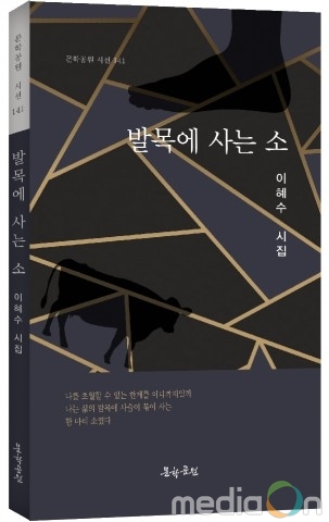 도서출판 문학공원, 이혜수 시인의 미적 다양성의 시집 ‘발목에 사는 소’ 출간