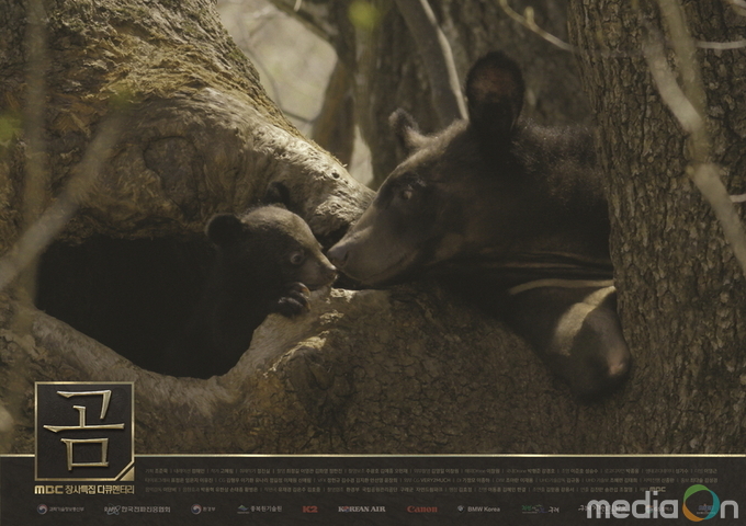 다큐멘터리 ‘곰’, 필로그, 곰에게 배우다’ 방송하며 2년여의 대장정을 마무리